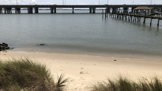 A beach with a pier extending into calm water, surrounded by grassy dunes.
