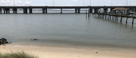 在海滩、沙滩椅