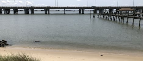 Spiaggia | Sulla spiaggia, lettini da mare