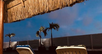 Tucan Hostel CancĂșn