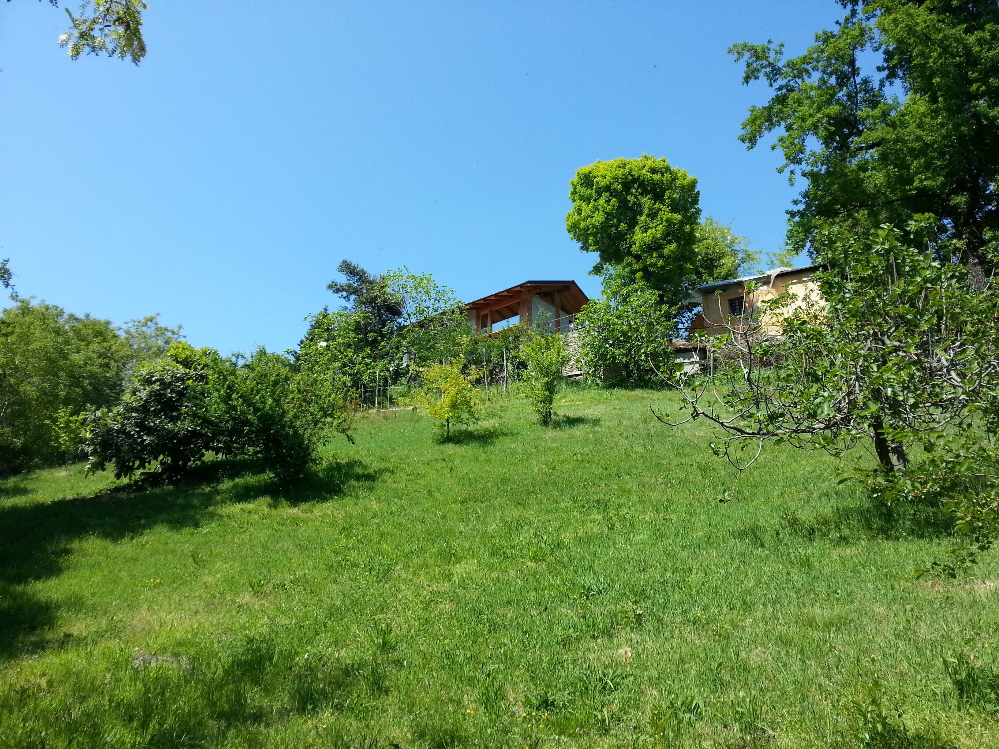 A hillside with a wooden cabin and a house with a sloped roof.