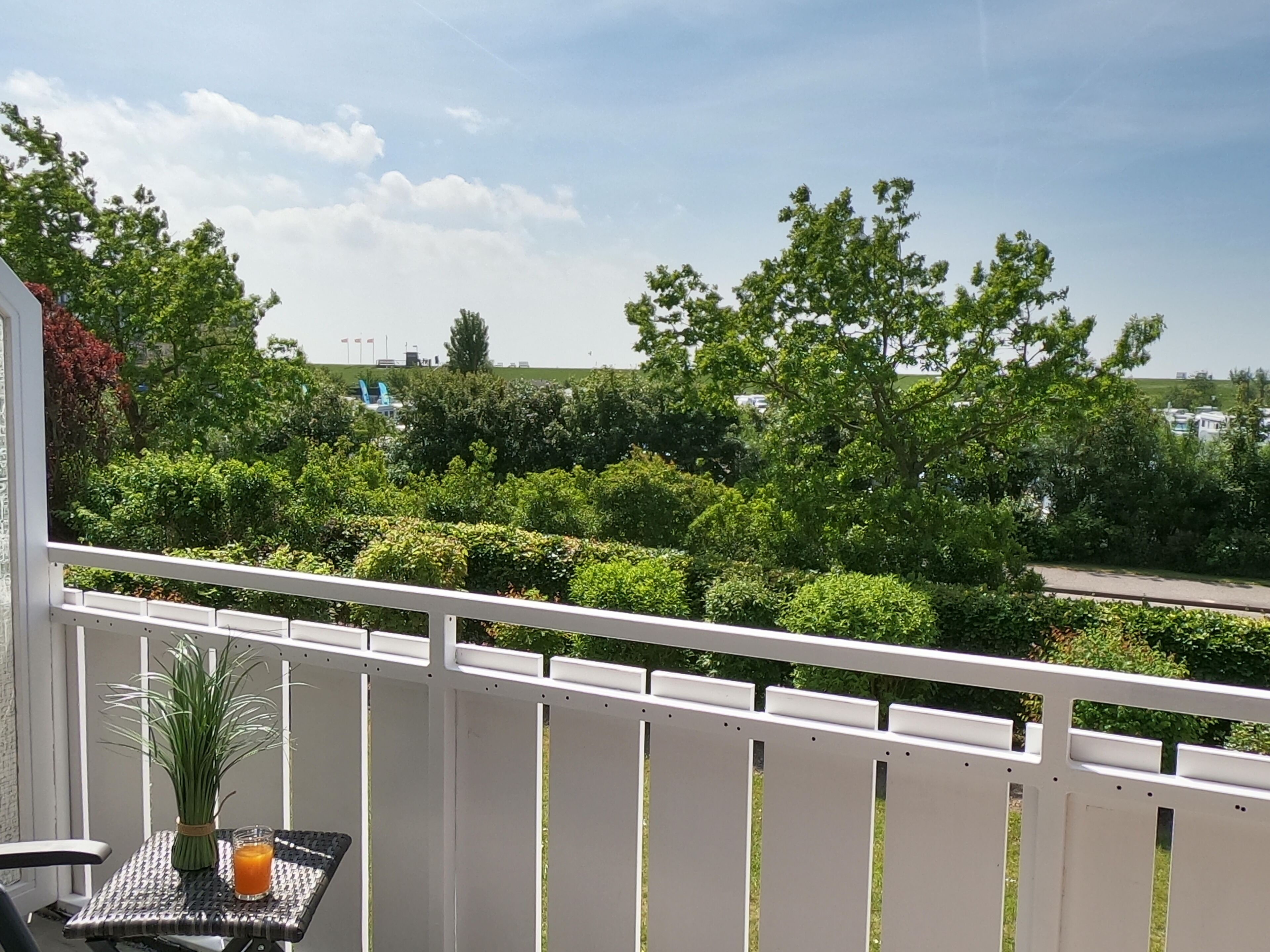 Ein Balkon mit Tisch, Topfpflanze und einem Glas Orangensaft.