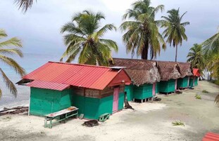 Una hilera de chozas con techo de paja y techos rojos, paredes verdes y una playa de arena con palmeras.