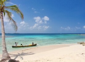 Una playa con agua turquesa cristalina, una orilla arenosa y una palmera.
