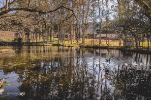 Lago