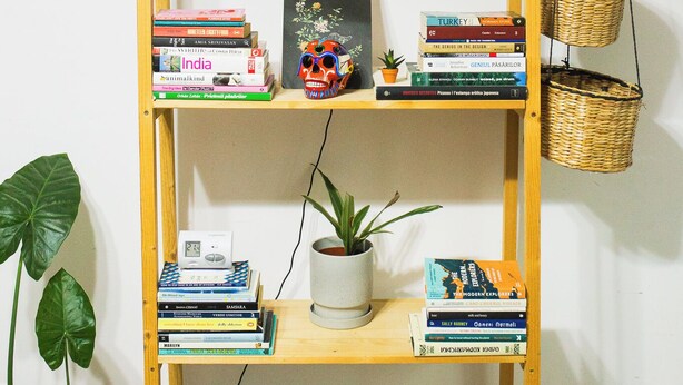 A wooden bookshelf with multiple shelves, holding books, a framed picture, and a potted plant.