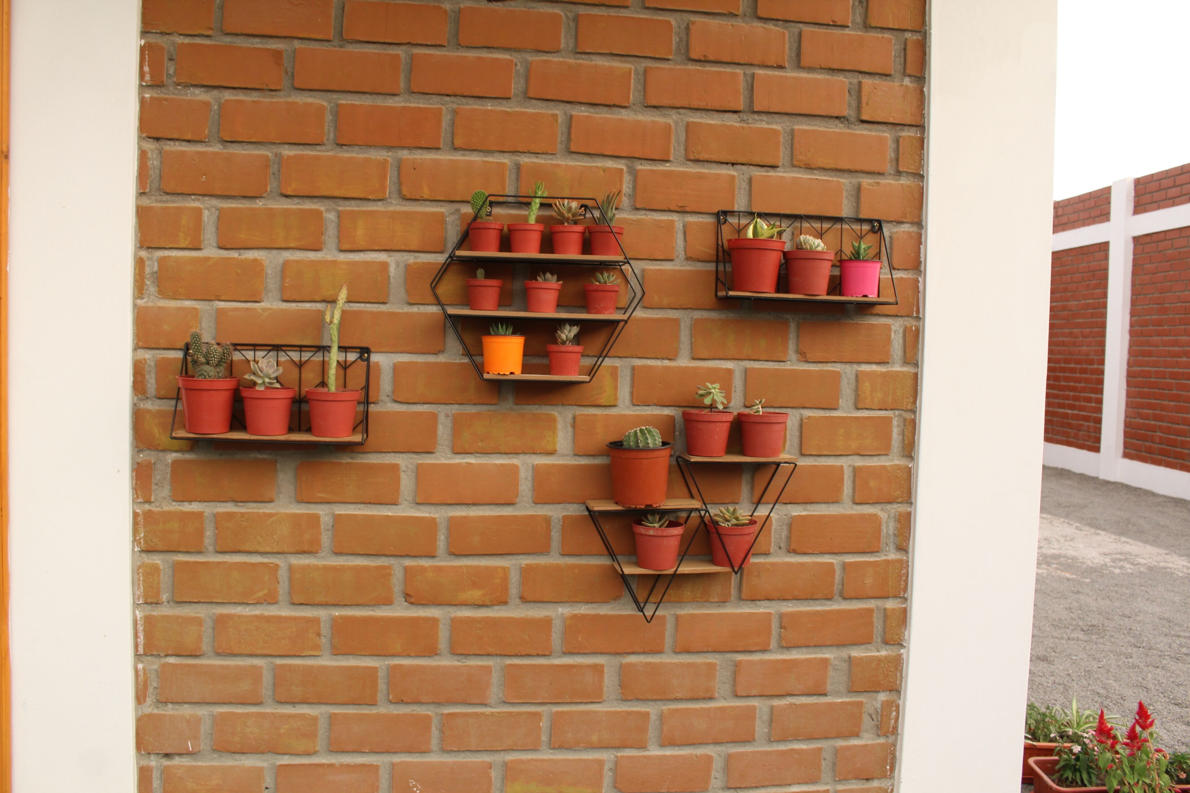 A brick wall with multiple hexagonal planters containing various plants.