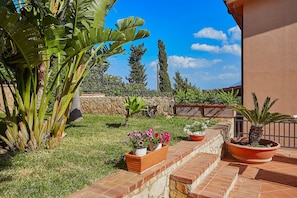 Terraza o patio