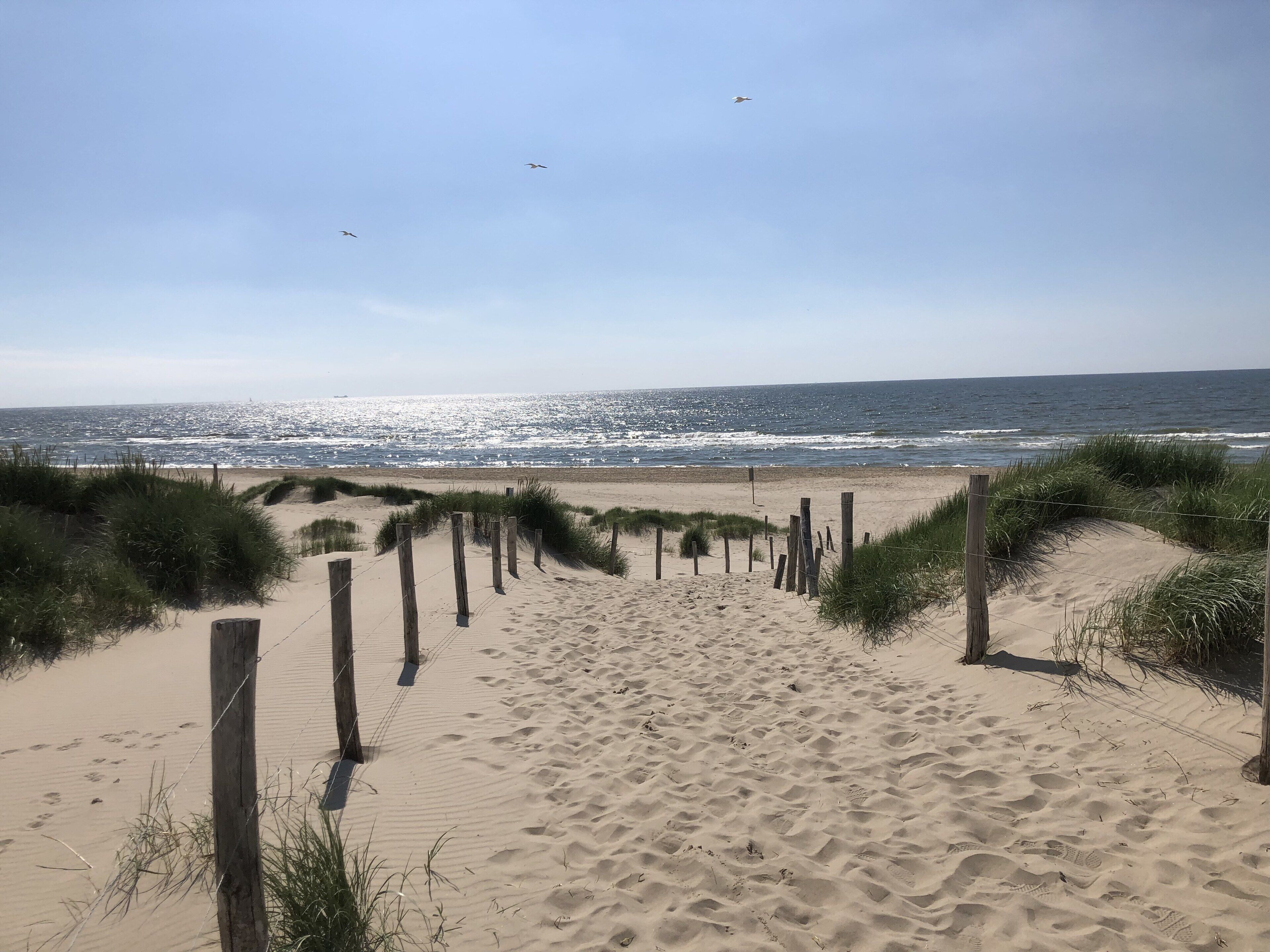 Aan het strand