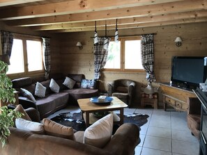 Télévision, cheminée, jeux vidéo, lecteur de DVD