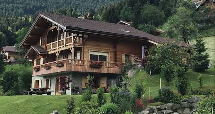 Spacious 4 * chalet with mountain views, jacuzzi and sauna, terrace