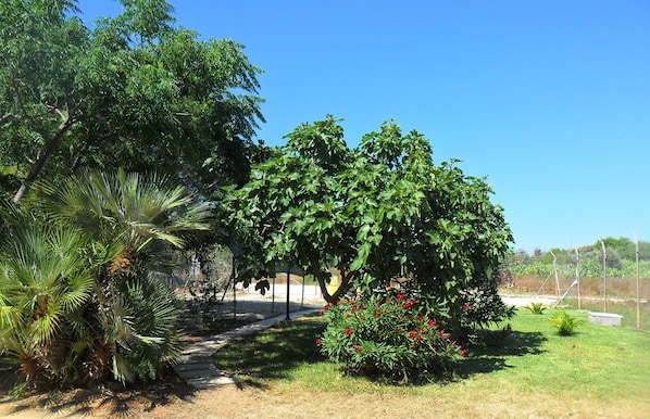 Parco della struttura