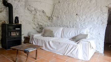 Cheminée, table de tennis de table, livres