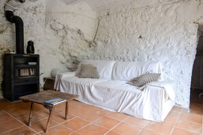 Fireplace, table tennis, books