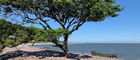 Plage à proximité