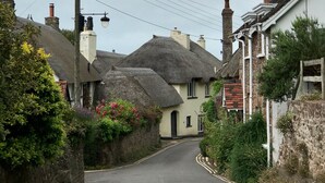 Une rue étroite bordée de maisons traditionnelles, dont certaines ont des toits de chaume et d’autres des cheminées en briques.