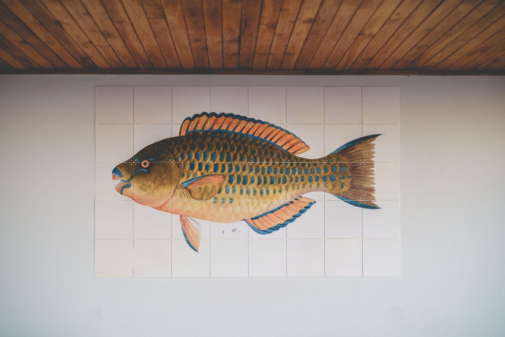 A fish mural on a wall.