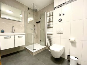 Shower, hair dryer, soap, toilet paper