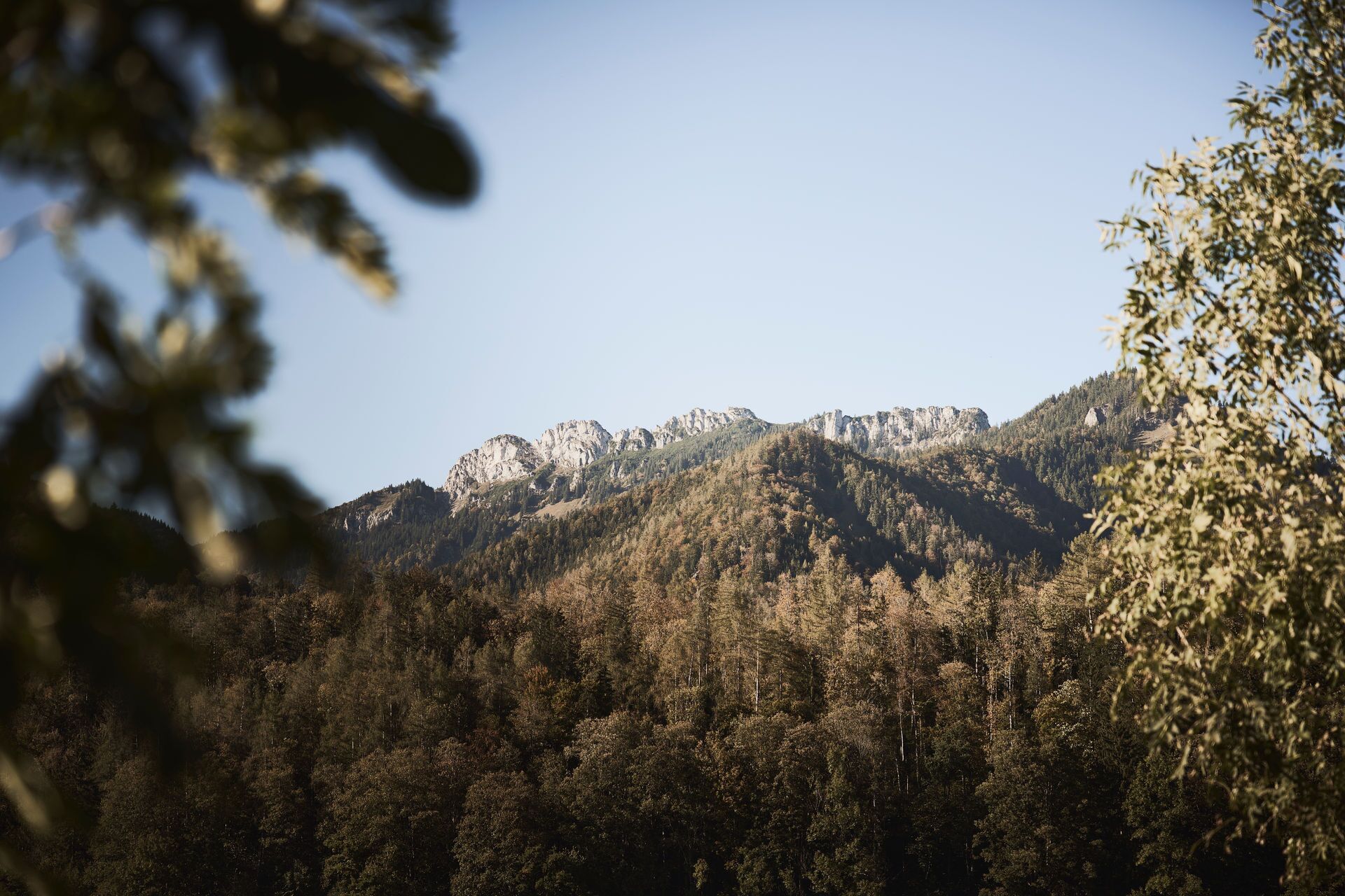A mountain landscape with dense forest and rocky peaks.