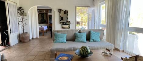 Smart TV, fireplace, books, music library