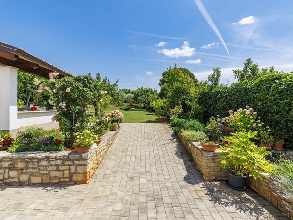 A paved pathway leading to a house with a garden on either side.