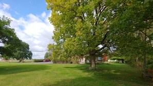 A park with a large tree, a grassy area, and a building in the background. - King Bed - MCM Style- Backyard View (Spring Green)
