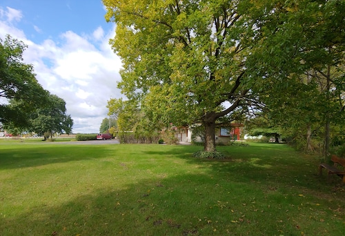 King Bed - MCM Style- Backyard View