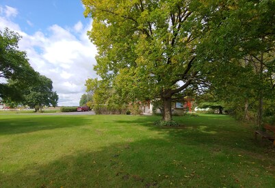 King Bed - MCM Style- Backyard View