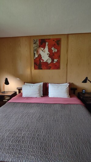 Desk, WiFi, bed sheets