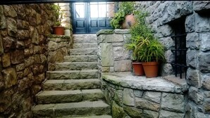 A stone staircase leading to a door, with potted plants on the steps. - Edificio Único (Mar del Plata)