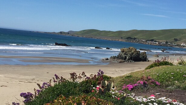 A coastal landscape with a sandy beach, a rocky outcrop, and a clear blue sky. - Cottage By The Sea At Cayucos where serenity is found, 3 minute walk to beach (Cayucos)