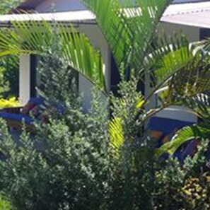 Jardin