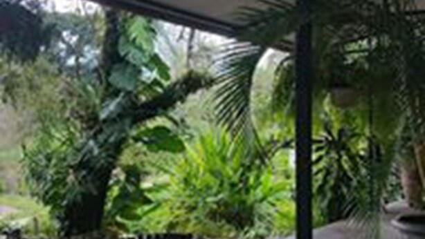 Terrace/patio - Los Susurros Casa (Palenque)
