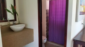 Ducha, cabezal de ducha tipo lluvia, secador de pelo, toallas