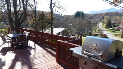 'Dood's Ranch', cozy mountain cottage on horse farm in Waynesville!