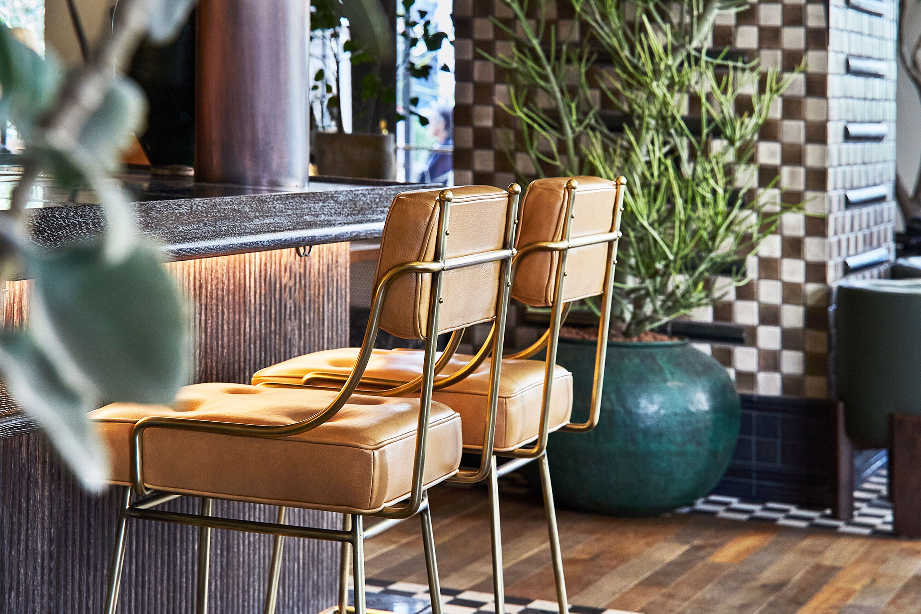 Een receptie met een zwart-wit betegelde vloer, een grote groene plant en een bar.