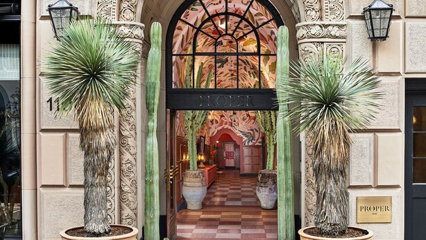 Une entrée élégante, avec un sol à carreaux, de grands cactus en pot et une enseigne indiquant « HÔTEL DE QUALITÉ ».