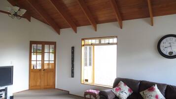 Smart TV, fireplace, DVD player, books