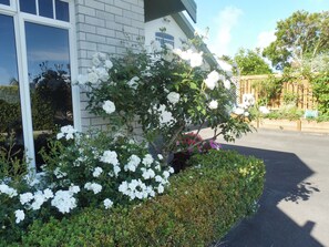 A building with white brick walls and large windows. - "Hideaway Off Heta" for comfort, rest and tranquility. (Highlands Park)