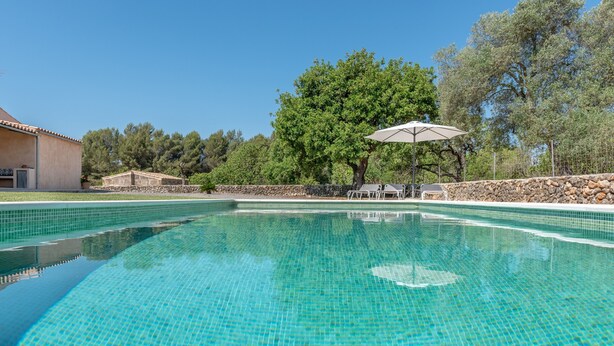 Una piscina cristalina con bordes de azulejos, un área de descanso con mesa y sillas, y un gran árbol al fondo.