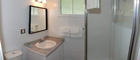 A bathroom with a toilet, sink, mirror, and shower.