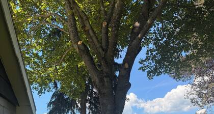 Cocolalla Lake Beachfront Cabin Near Sandpoint ID