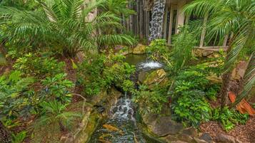 House, Multiple Beds (A-13 Buena Onda Cottage) | Property grounds