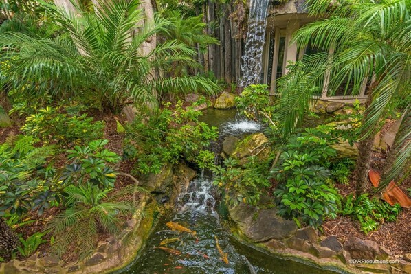 House, Multiple Beds (A-13 Buena Onda Cottage) | Property grounds