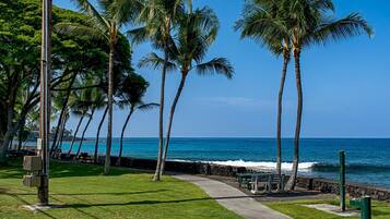 Condo, 1 Queen Bed (White Sands Village#118) | Property grounds