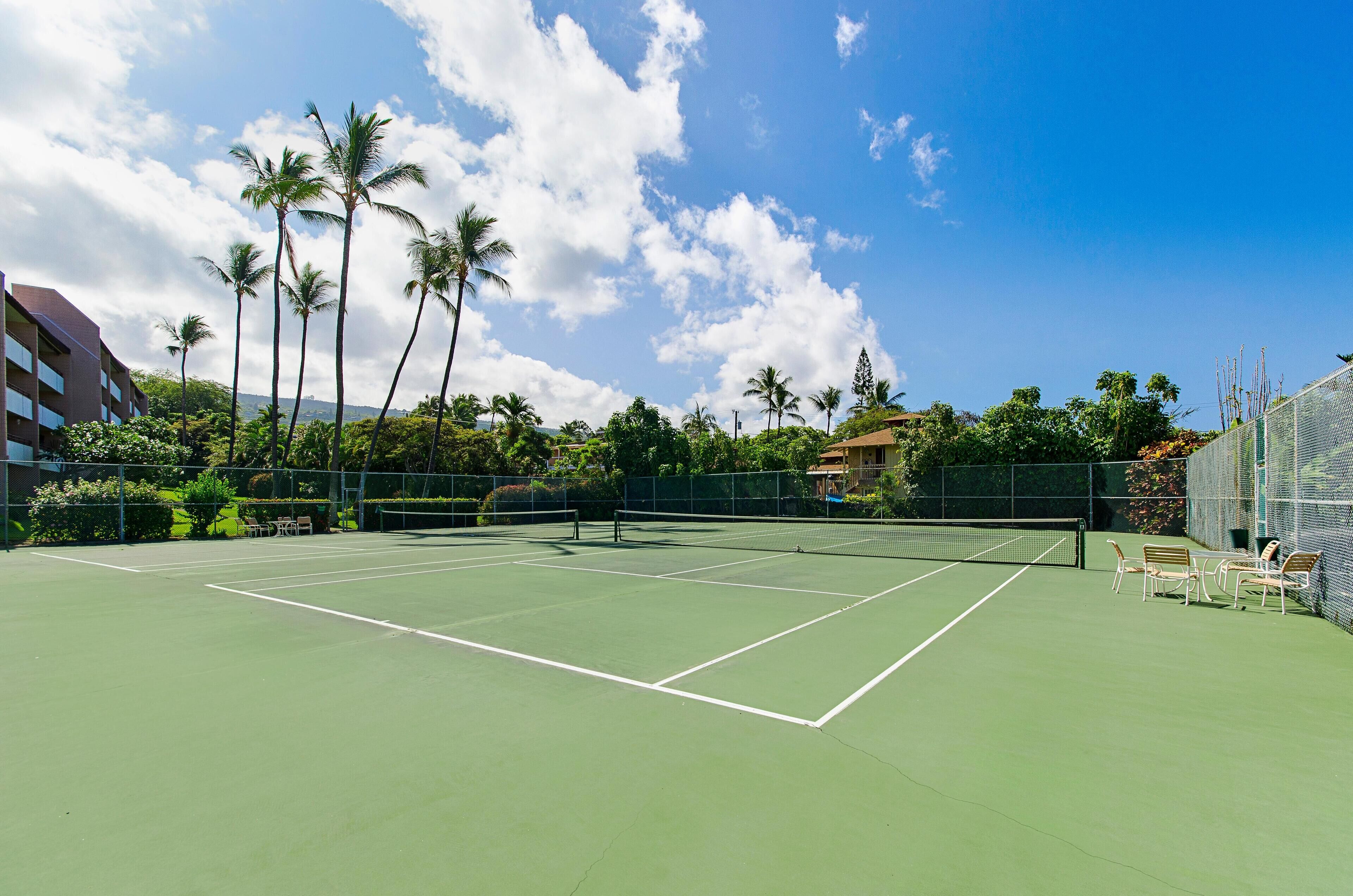 Una cancha de tenis con una red, rodeada de palmeras y una cerca.