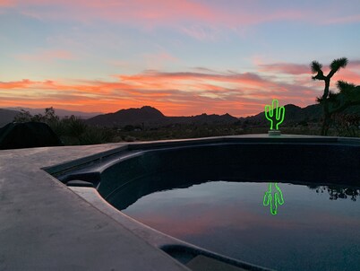 Joshua Tree Monument Entrance Outside Your Front Door