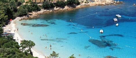 Una playa cerca