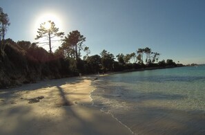 Tæt på stranden