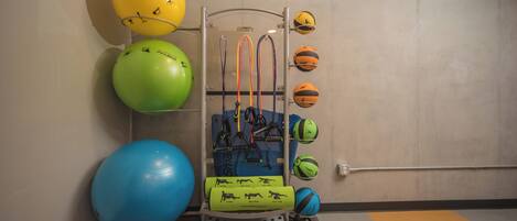 A gym with exercise equipment, including a pull-up bar and various exercise balls.
